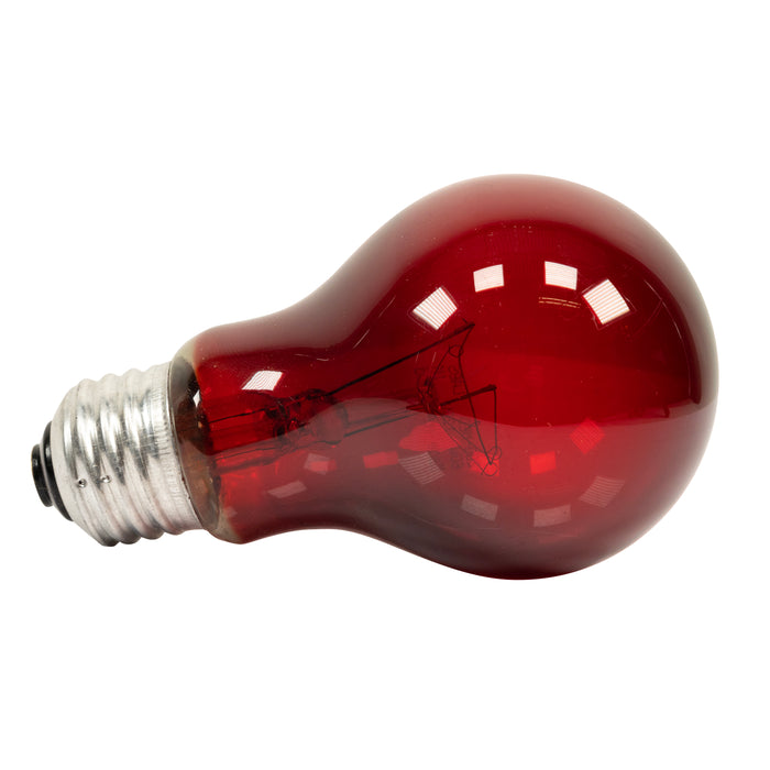Zoo Med Nightlight Red Reptile Bulb Red 40 Watt