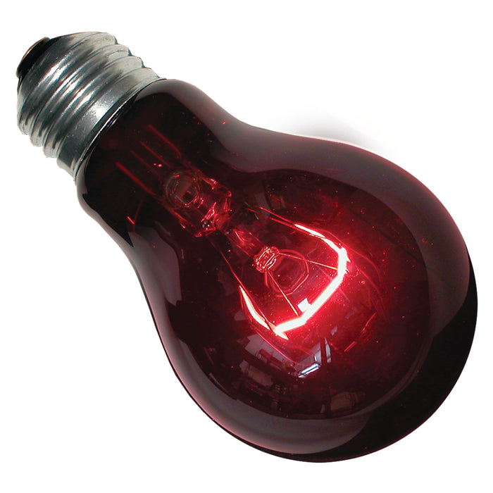 Zoo Med Nightlight Red Reptile Bulb Red 60 Watt