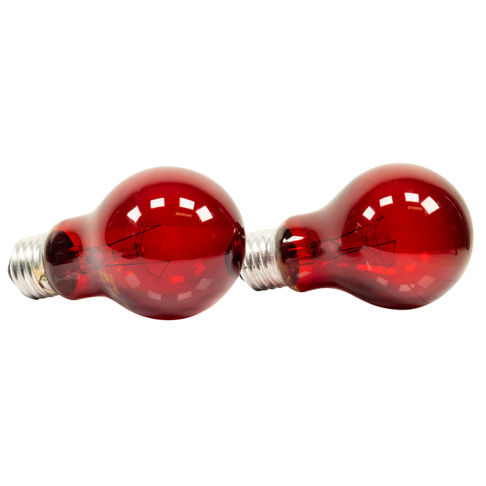 Zoo Med Nightlight Red Reptile Bulb Red 60 Watt 2 Pack