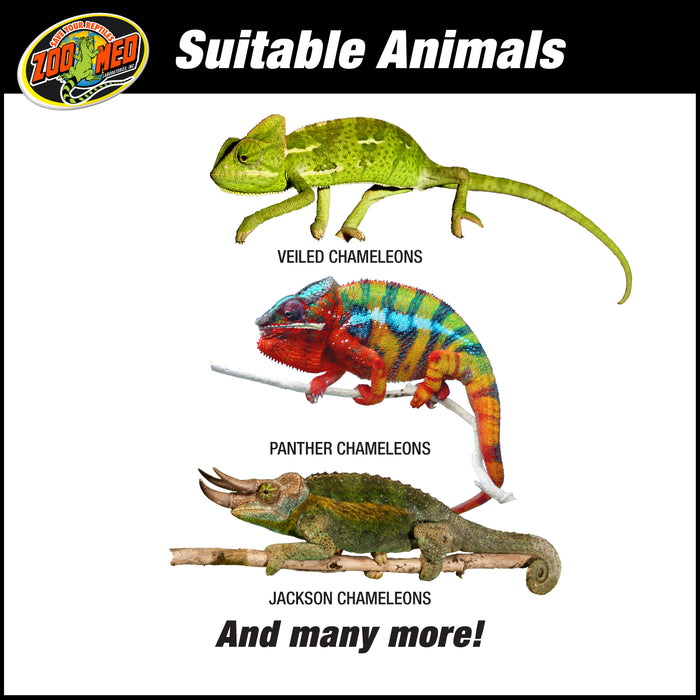 Zoo Med ReptiBreeze Chameleon Starter Kit
