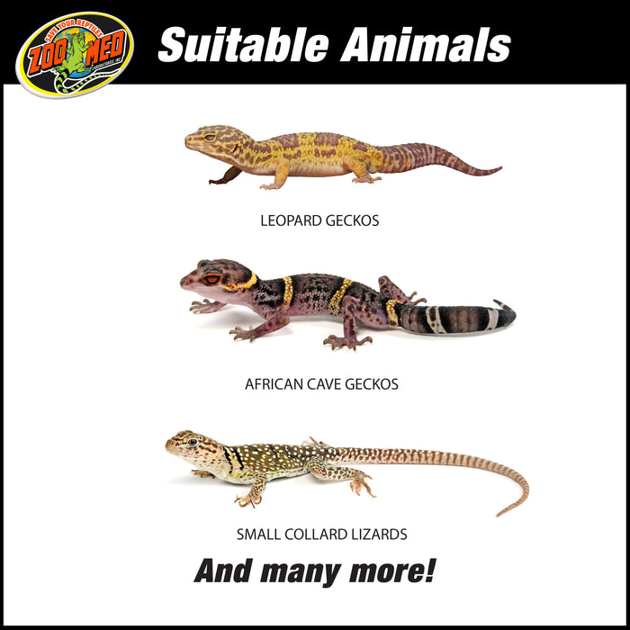Zoo Med ReptiHabitat Leopard Gecko Kit 20gal