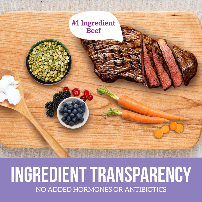 Health Extension Grain Free New York Style - Beef Recipe - 9 - Image 11