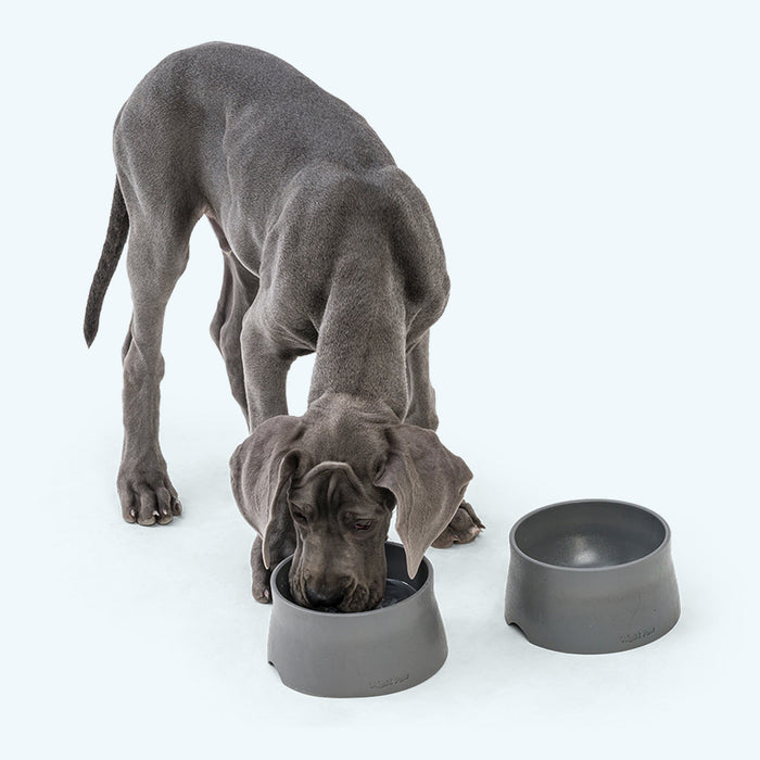 West Paw Non-Slip Dog Bowl