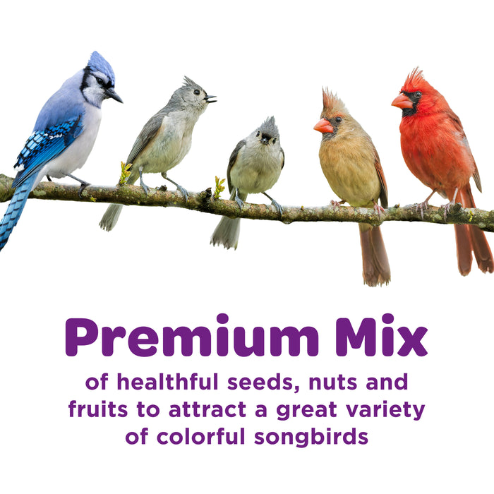 Kaytee Wild Bird Food Nut & Fruit Blend, Stand Up Pouch, 5 Pounds