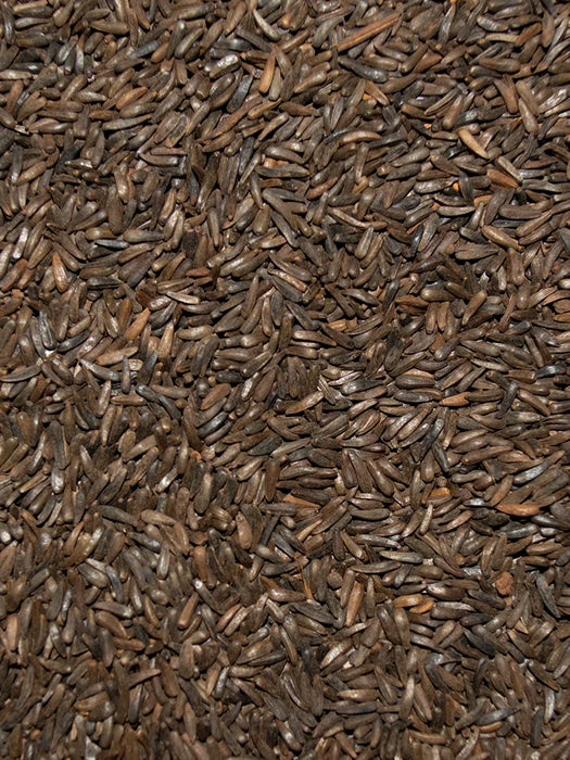 Volkman Seed Company Premium Single Seed Nyer Bird Food 4 lb