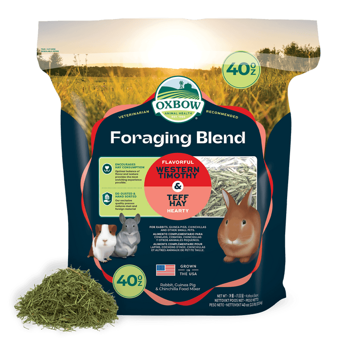 Oxbow Animal Health Foraging Hay Blend Teff & Western Timothy, 40 oz