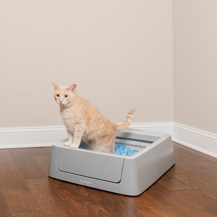 Petsafe ScoopFree Smart Self-Cleaning Litter Box