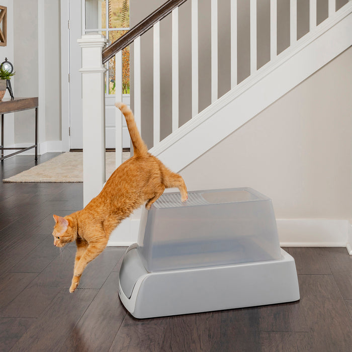 Petsafe ScoopFree Top Entry Self-Cleaning Litter Box 2nd Gen