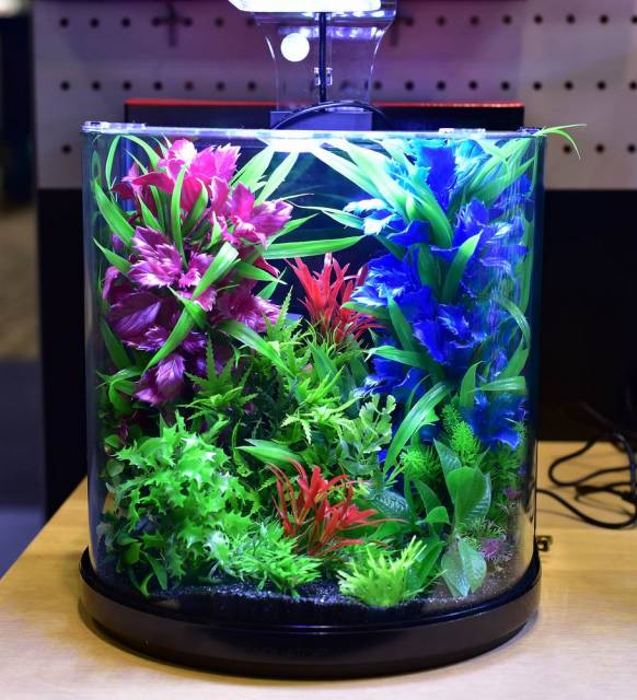 Aquatop PISCES All-in-one Nano Bowfront Glass Aquarium Kit Black, Clear 3 gal