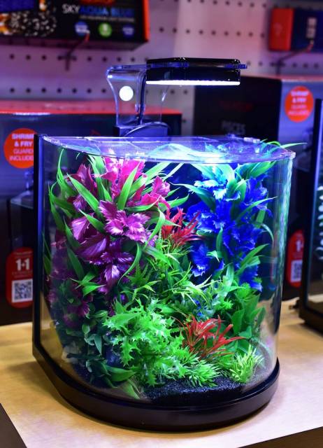 Aquatop PISCES All-in-one Nano Bowfront Glass Aquarium Kit Black, Clear 3 gal