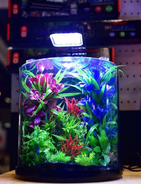 Aquatop PISCES All-in-one Nano Bowfront Glass Aquarium Kit Black, Clear 3 gal