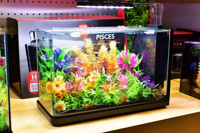 Aquatop PISCES All-in-one Nano Bullet Glass Aquarium Kit Black, Clear 5 gal