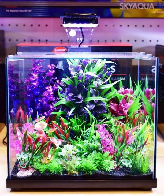 Aquatop PISCES All-in-one Nano Cube Glass Aquarium Kit Black, Clear 5 gal