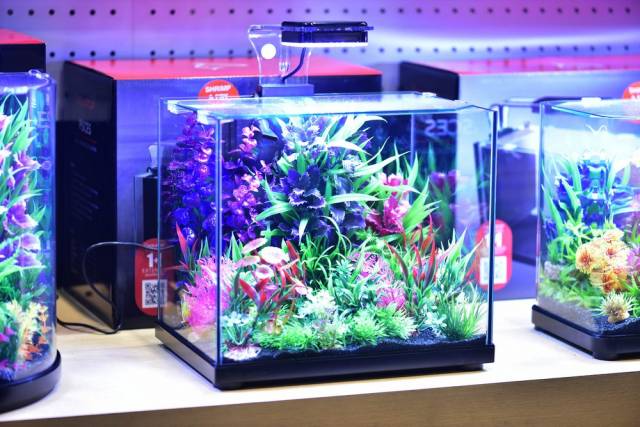 Aquatop PISCES All-in-one Nano Cube Glass Aquarium Kit Black, Clear 5 gal