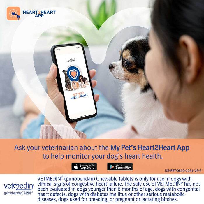 Rx Vetmedin, 5mg x 50 Chewable Tablets