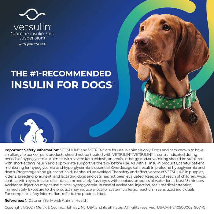 Rx Vetsulin, 40 units/ml Injectable, 10 ml Bottle