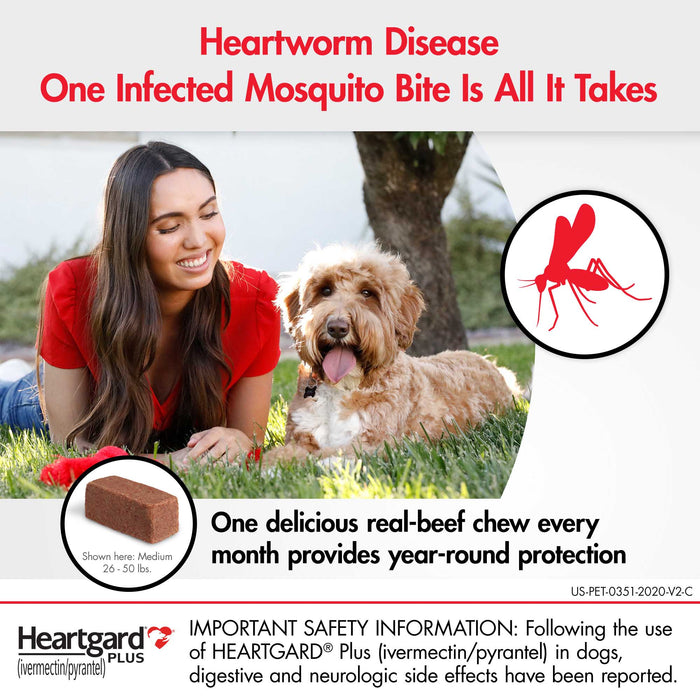 Heartgard Plus for Dogs, 6 mo, 26-50 lbs, Rx