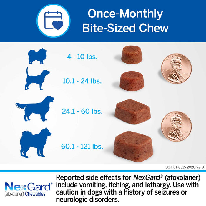 Rx Nexgard, Dog, 10.1-24 lb, 6 Chew Tabs