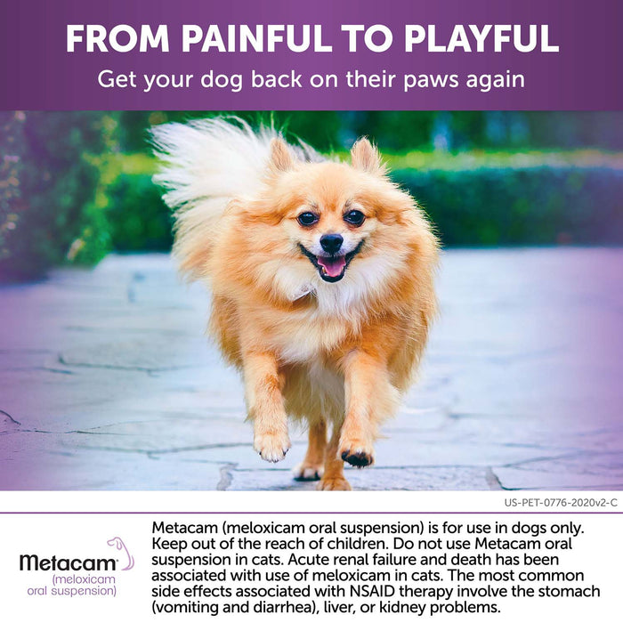 Rx Metacam Oral Susp, 0.5 mg/ml x 15 ml Bottle