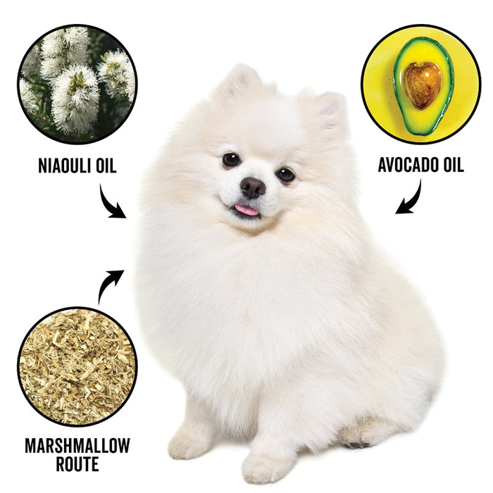 PRIDE+GROOM DOGDAYS Moisturizing Dog Conditioner — Hypoallergenic, Detangling, and Soothing for All Coat Types - 1 - Image 4
