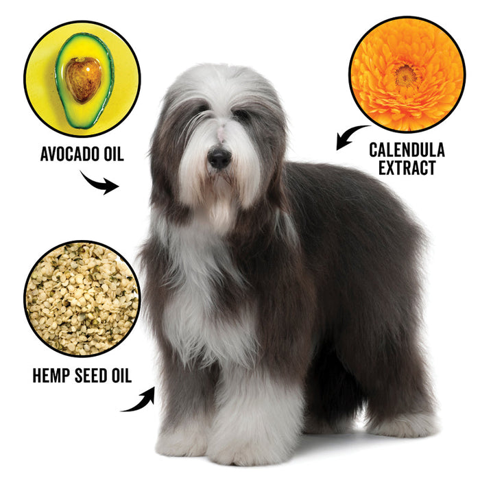 PRIDE+GROOM DOGDAYS Leave-In Detangling Spray — Hydrating, Frizz-Control Formula for All Coat Types - 1 - Image 4
