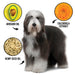 PRIDE+GROOM DOGDAYS Leave-In Detangling Spray — Hydrating, Frizz-Control Formula for All Coat Types - 1 - Image 4