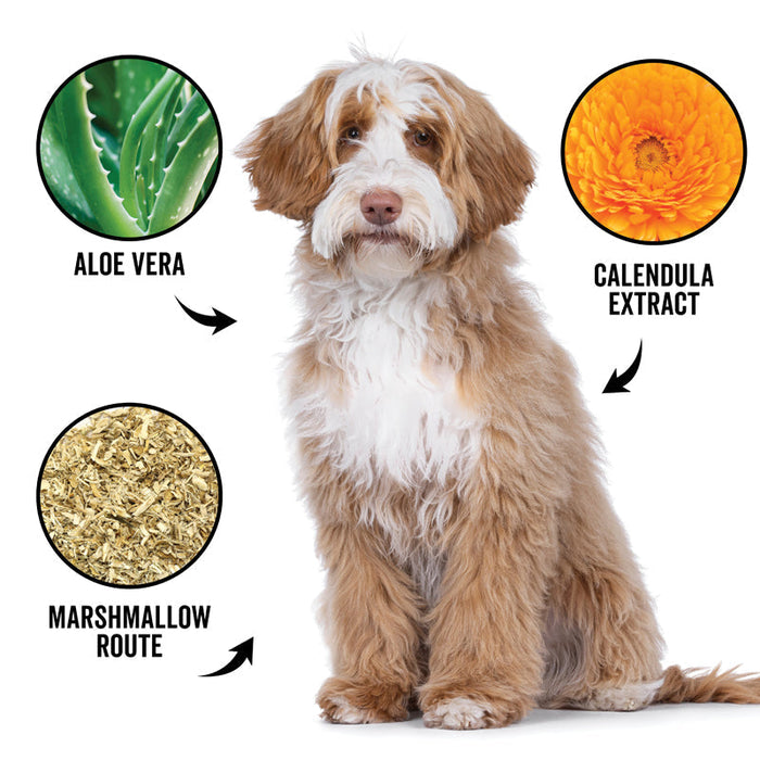 PRIDE+GROOM DOGDAYS Hydrating Dog Shampoo for Curly & Wavy Coats — Tear-Free, Vegan, and Hypoallergenic - 1 - Image 4