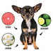 PRIDE+GROOM DOGDAYS Dog Deodorizing Spray — Natural, Hypoallergenic Freshening Mist - 1 - Image 4