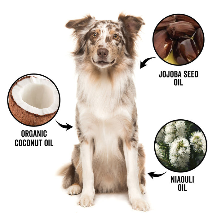 PRIDE+GROOM DOGDAYS De-Shedding Shampoo — Deep Moisturizing Deshedding Formula for Dogs - 1 - Image 4