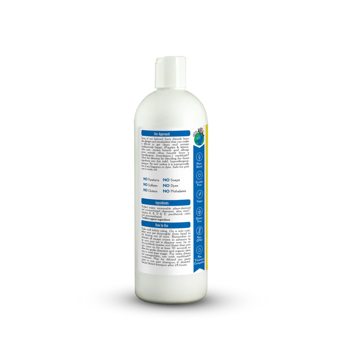 Earthbath Hypo-Allergenic Shampoo, Fragrance Free 16oz
