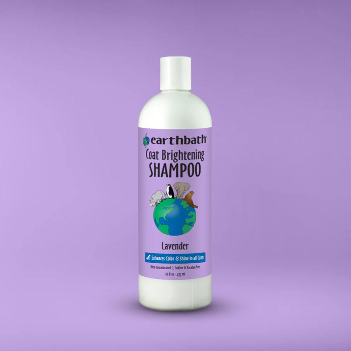 Earthbath Coat Brightening Shampoo, Lavender 16oz