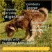 Native Pet Pumpkin, 8 oz - 2 - Image 8