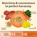 Primal Pet Foods - Primal Pet Foods Beef Recipe Kibble in the Raw Dog Food