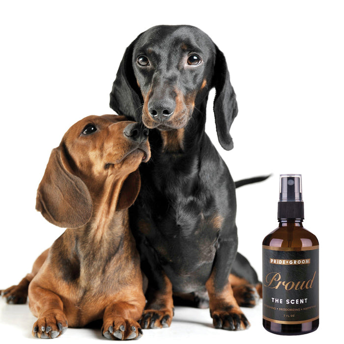 PRIDE+GROOM Proud Dog & Cat Perfume Spray — Natural Deodorizing Pet Cologne with Bergamot & Citrus
