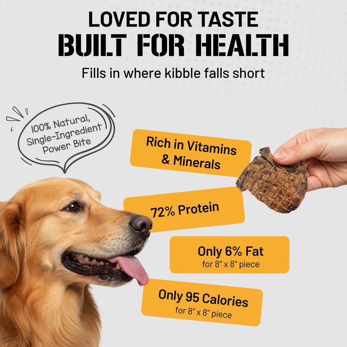 Dog Chits Pet Products Lamb Lung Fillet Treats for Dogs - 10 oz