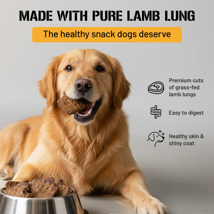 Dog Chits Pet Products Lamb Lung Fillet Treats for Dogs - 10 oz