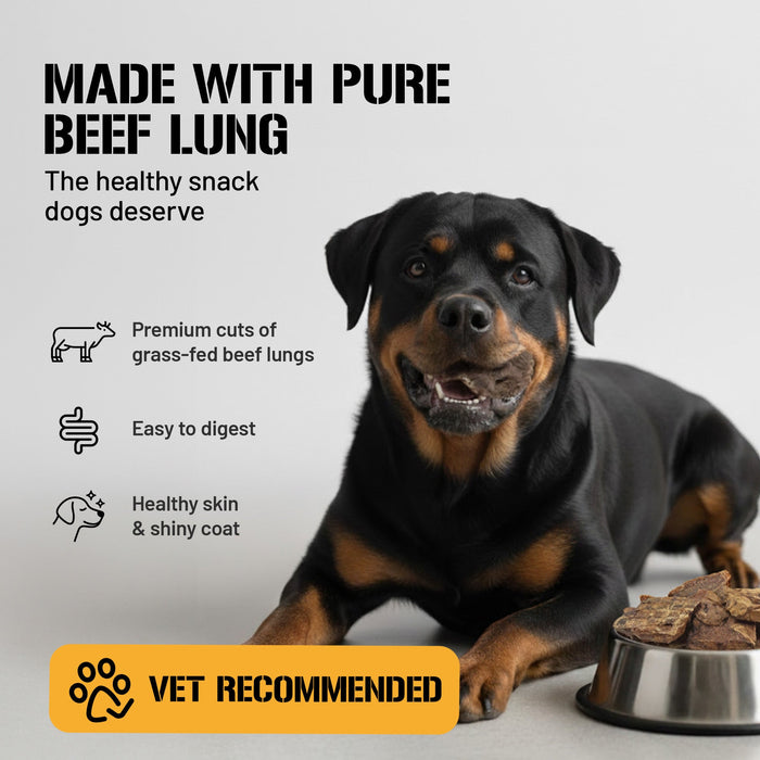 Dog Chits Pet Products Beef Lung Fillets Dog Treats- 10 oz.
