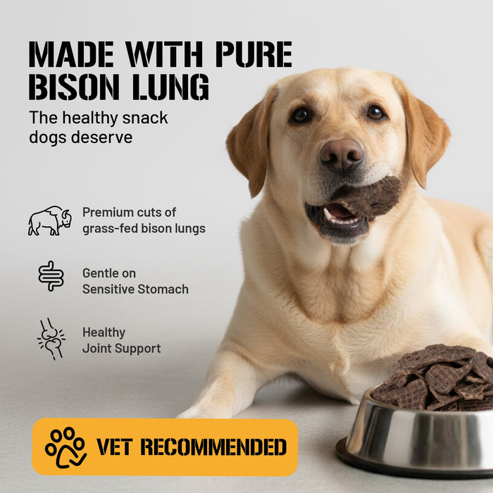 Dog Chits Pet Products Bison Lung Fillet Treats for Dogs - 10 oz