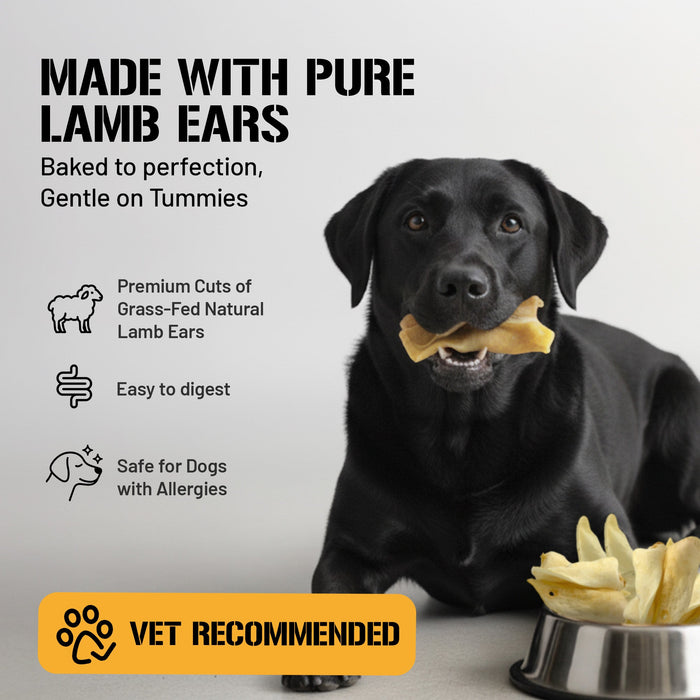 Dog Chits Pet Products Lamb Ears Dog Treats, Large - 25 Pack