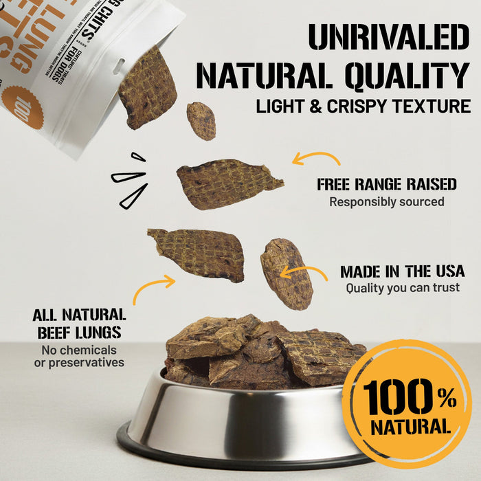 Dog Chits Pet Products Beef Lung Fillets Dog Treats- 10 oz.