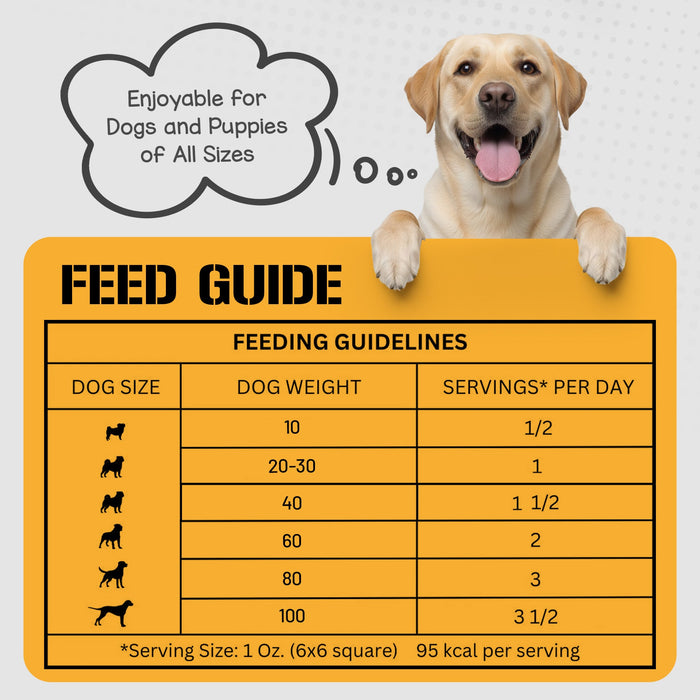 Dog Chits Pet Products Bison Lung Fillet Treats for Dogs - 10 oz