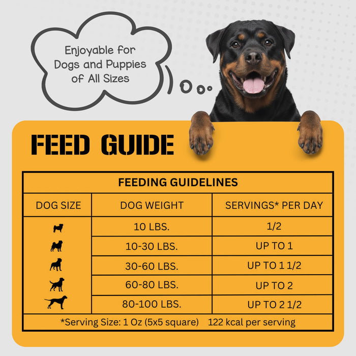 Dog Chits Pet Products Beef Lung Fillets Dog Treats- 10 oz.