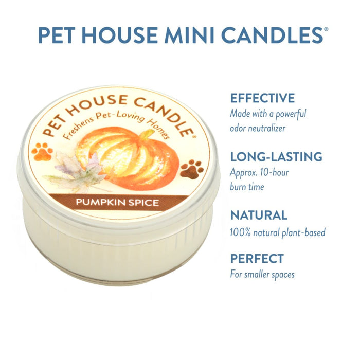One Fur All Pumpkin Spice Mini Candle