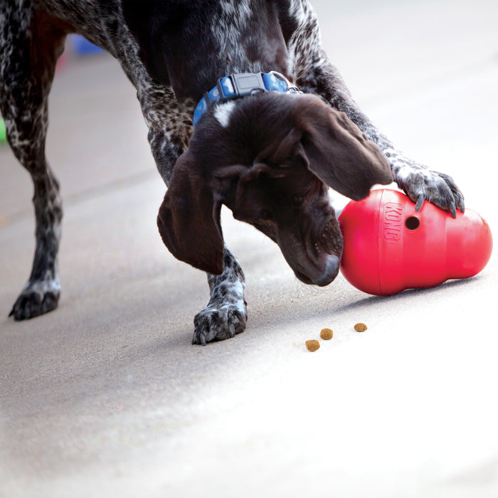 KONG Wobbler Food and Treat Dispenser Dog Toy Red LG - 5 - Image 7