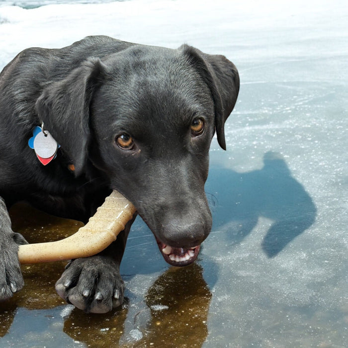 SodaPup Hockey Stick Durable Nylon Chew Toy  - Medium