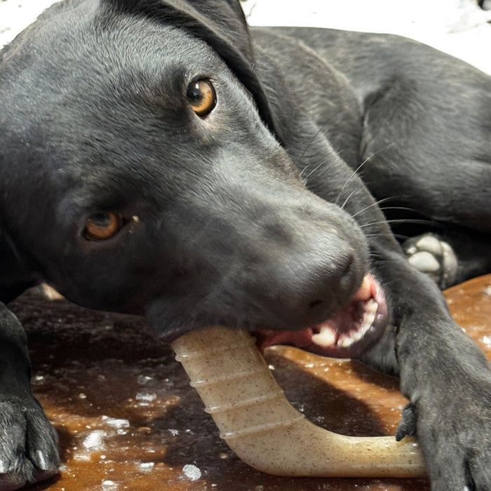 SodaPup Hockey Stick Durable Nylon Chew Toy  - Medium