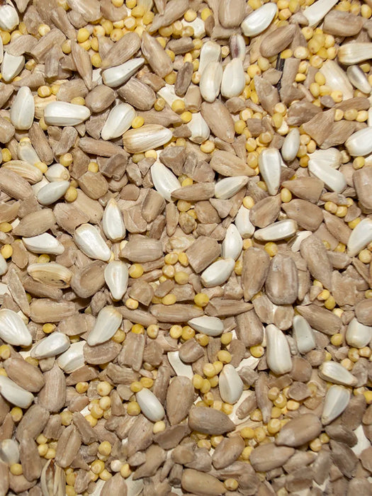 Volkman Seed Company Premium Wild Bird Garden Mix Bird Food 5lb