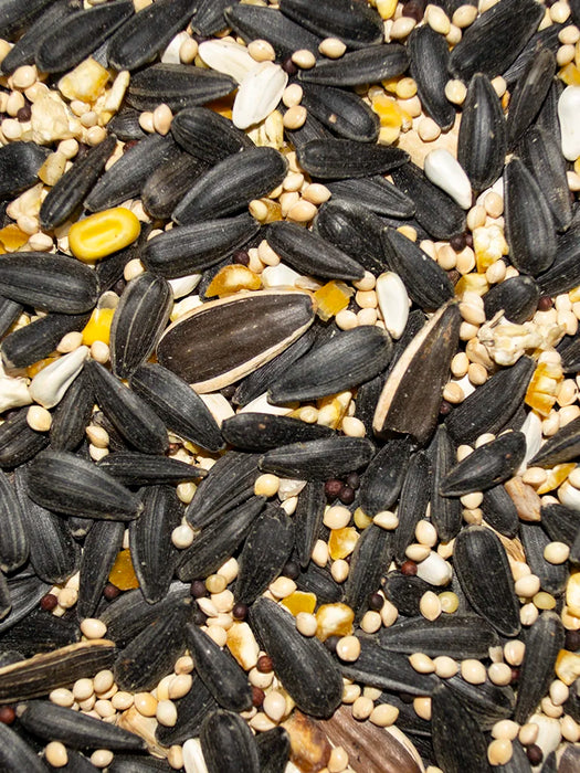 Volkman Seed Company Premium Wild Bird Superior Blend Bird Food 5lb