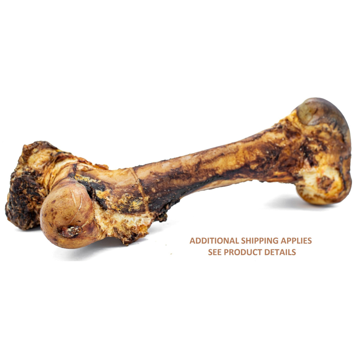Bully Bunches Monster Femur Bone — AnimalWiz.com