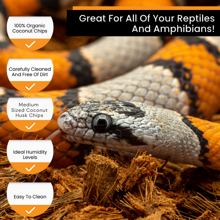 ReptiChip RediChip Premium Medium Sized Ready to Use Coconut Chips